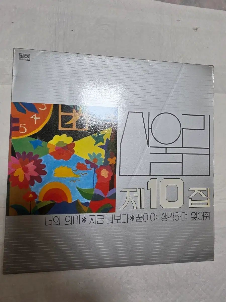 マウンテンユーリム 10 家 LP 早い