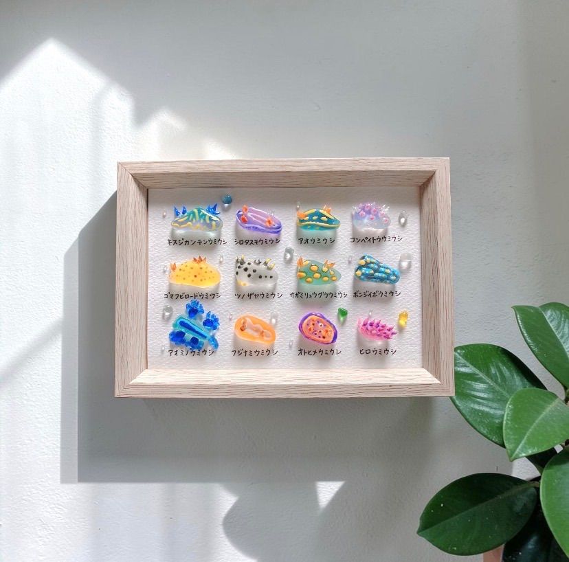 クーポンあり❣️ウミウシ図鑑12種❣️シーグラスアート お魚立体図鑑