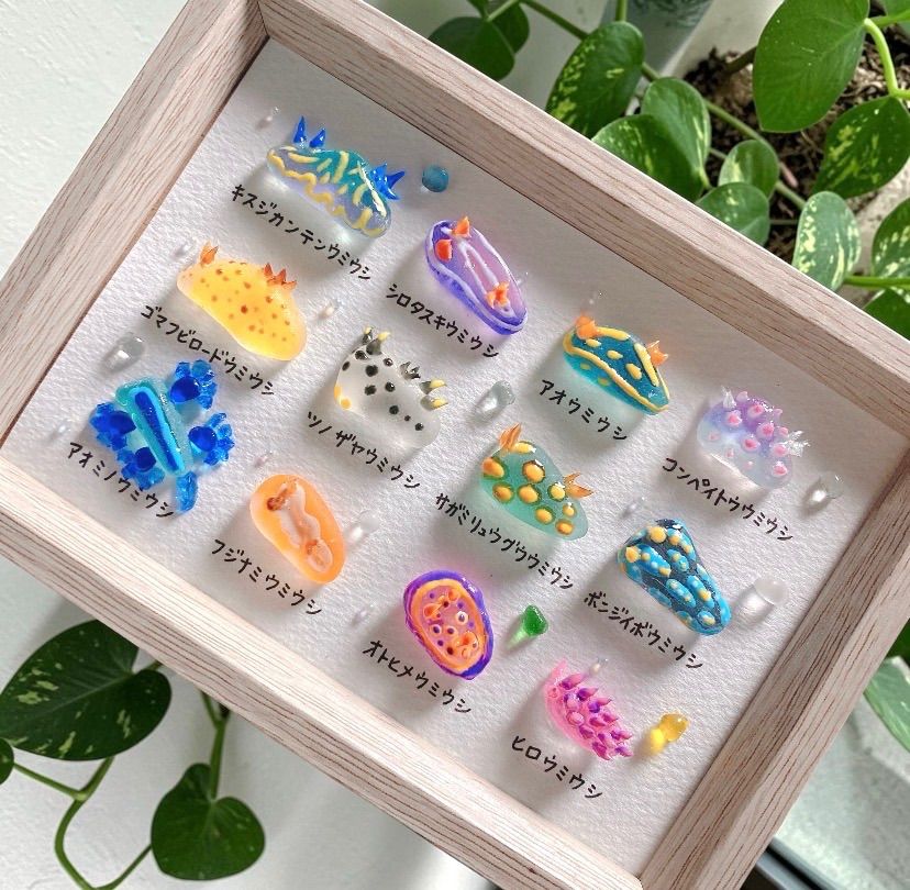 クーポンあり❣️ウミウシ図鑑12種❣️シーグラスアート お魚立体図鑑