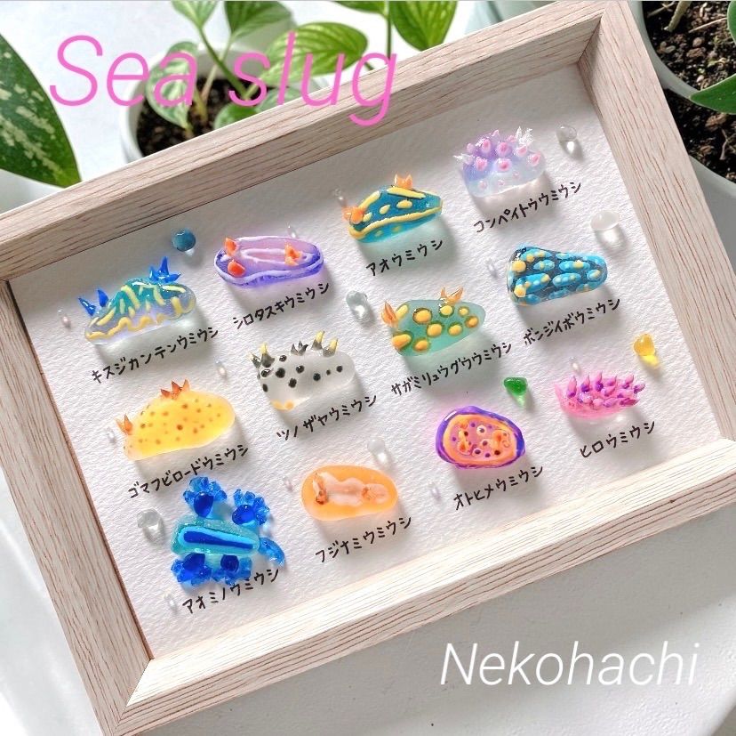 クーポンあり❣️ウミウシ図鑑12種❣️シーグラスアート お魚立体図鑑