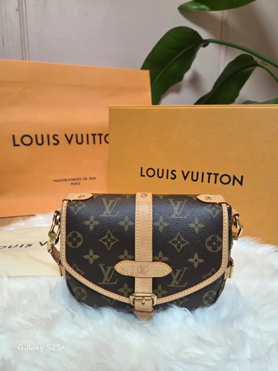 Louis Vuitton カプシーヌ ミニ