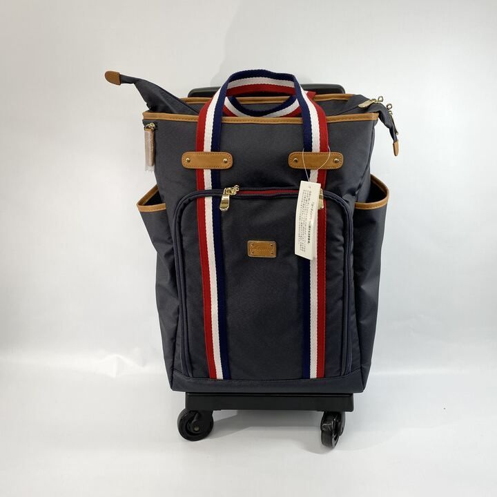 ⭐️極美品⭐️スワニー トリコロールアクセントトートキャリー 4輪 未使用 SWANY スワニー トリコロール アクセント トート キャリー WB
