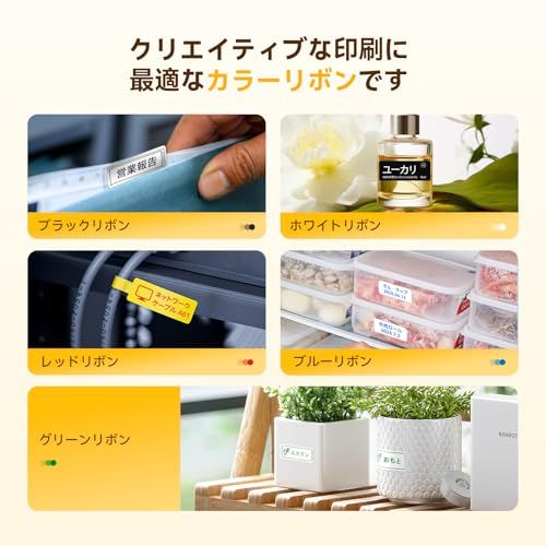 NIIMBOT N1 ラベルライター スマホ対応 熱転写用ラベルプリンター Bluetooth接続 ラベルメーカー シールプリンター リボン分離設計 203DPI 高精細印刷 8-10年長期保存 Type-c充電 使いやすい 賞味期限/資料分類/お名 国内発送