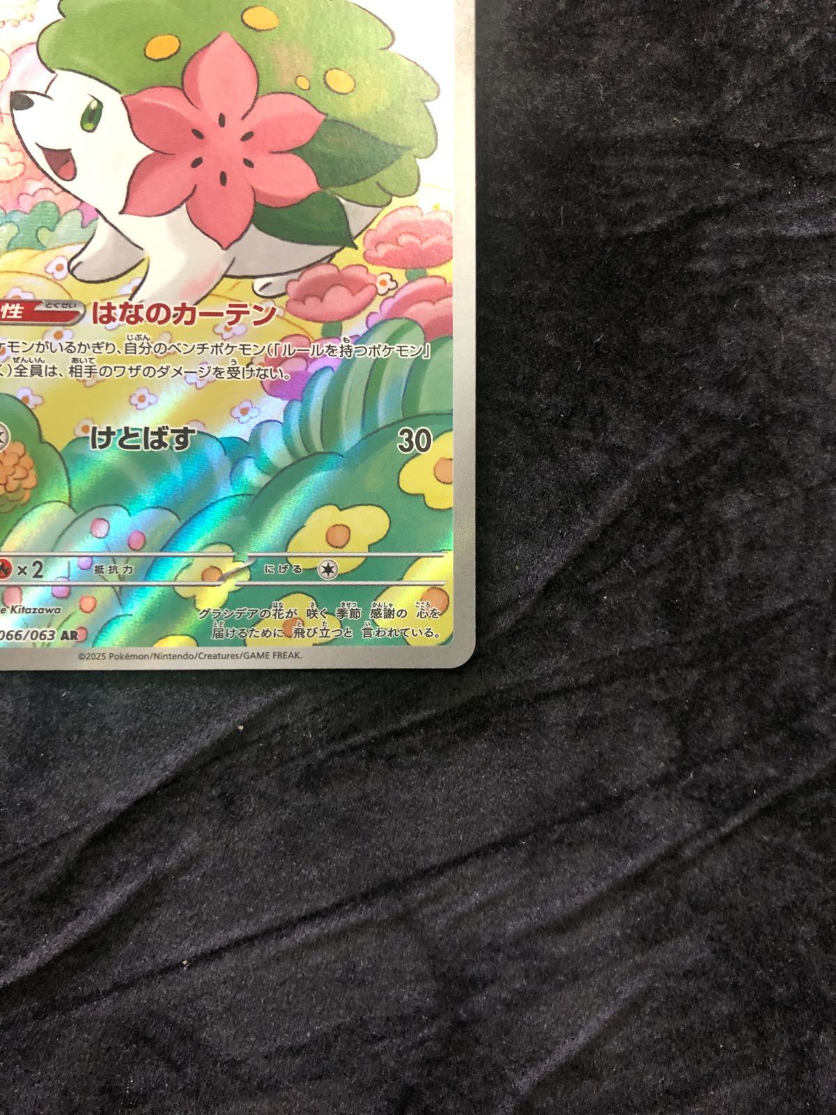 ポケモンカード シェイミ AR sv9a 066/063 熱風のアリーナ - メルカリ