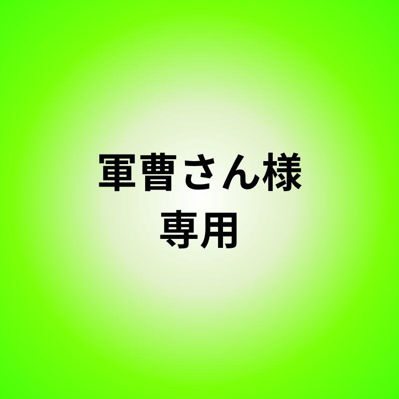 軍曹様専用 ⭐︎ヒロロ軍曹出品⭐︎迷彩 ミリタリー バックパック 収納