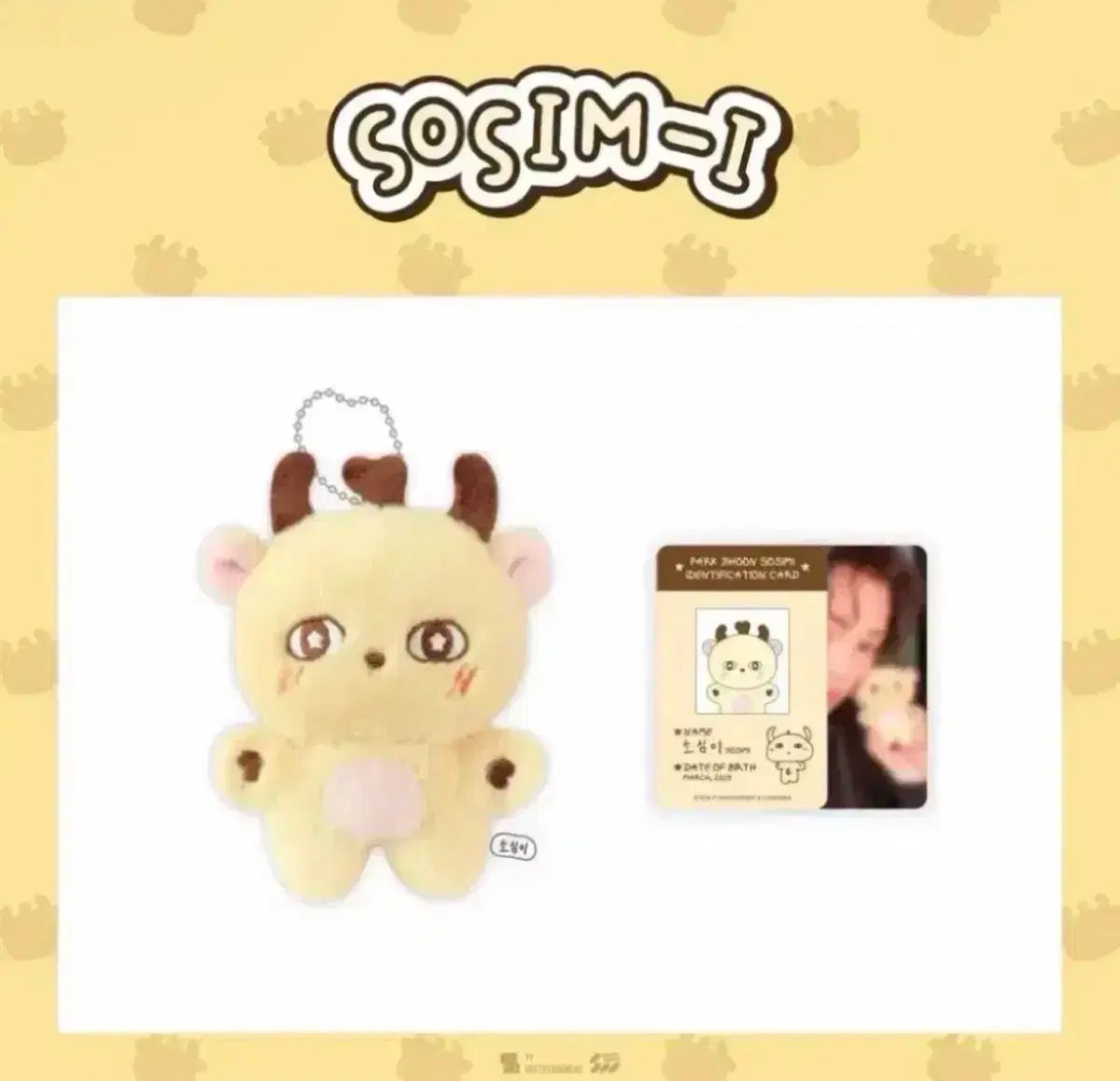 パク・ジフン(PARK JIHOON) ソシミ 現物 出品 トレカ 含む