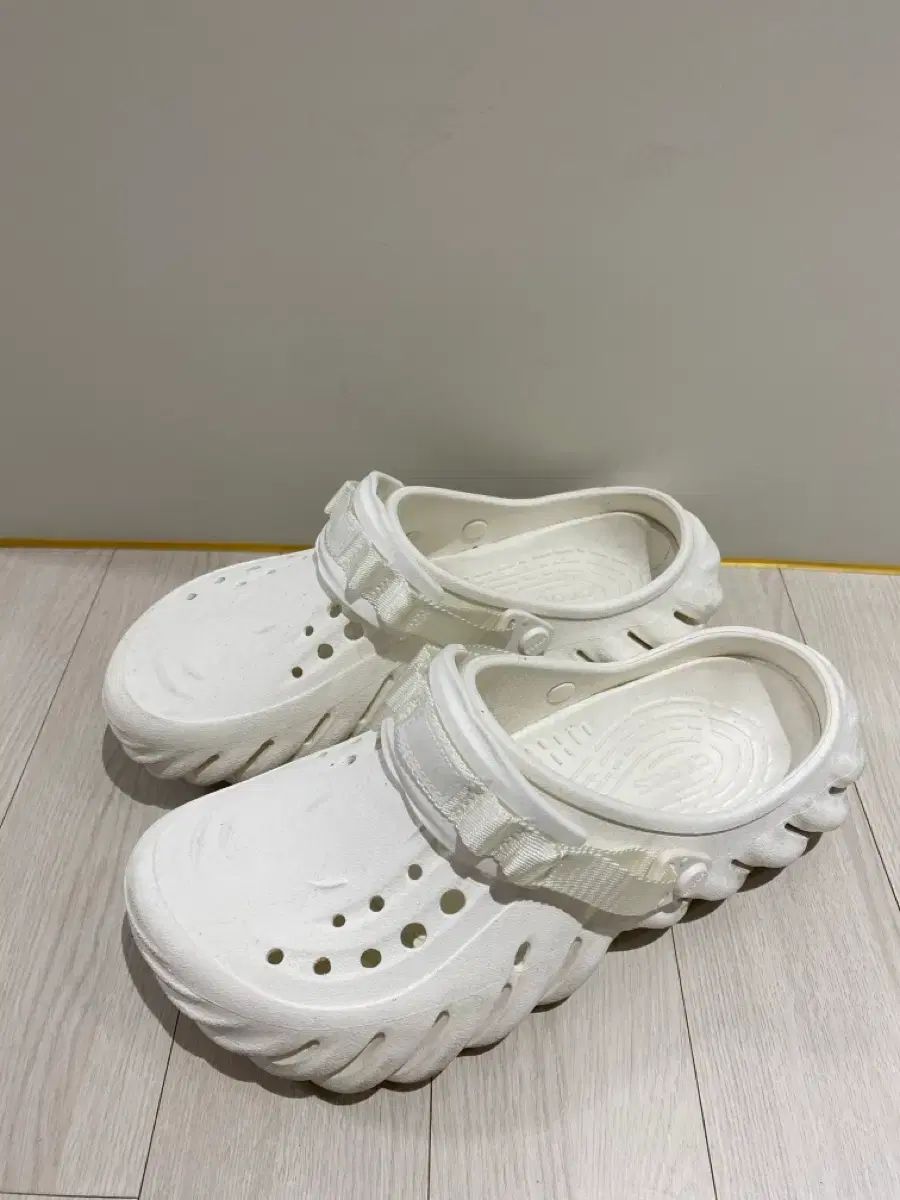 Crocs Ecco klogg 白 270