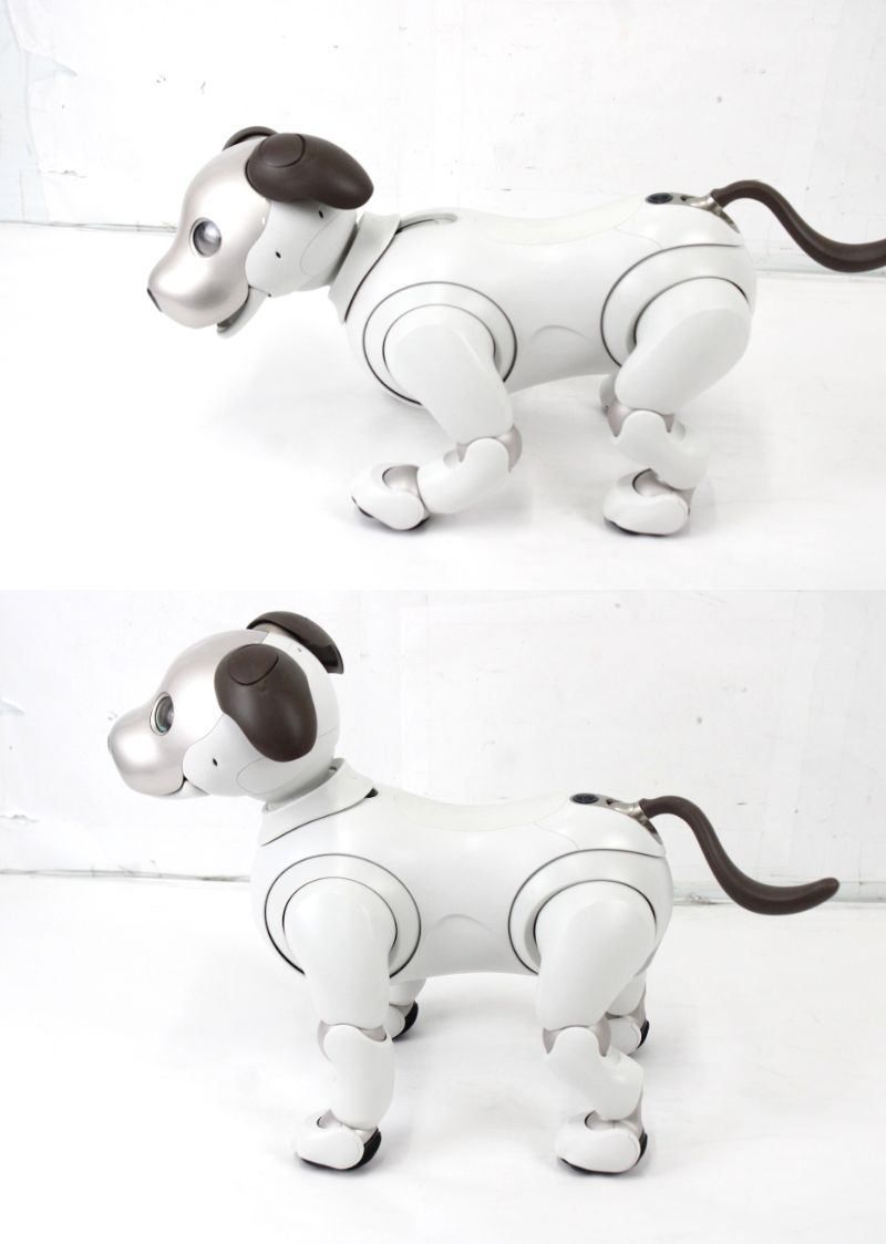 ソニー アイボ ERS-1000 アイボーン ボール クリーニングクロス AIBO