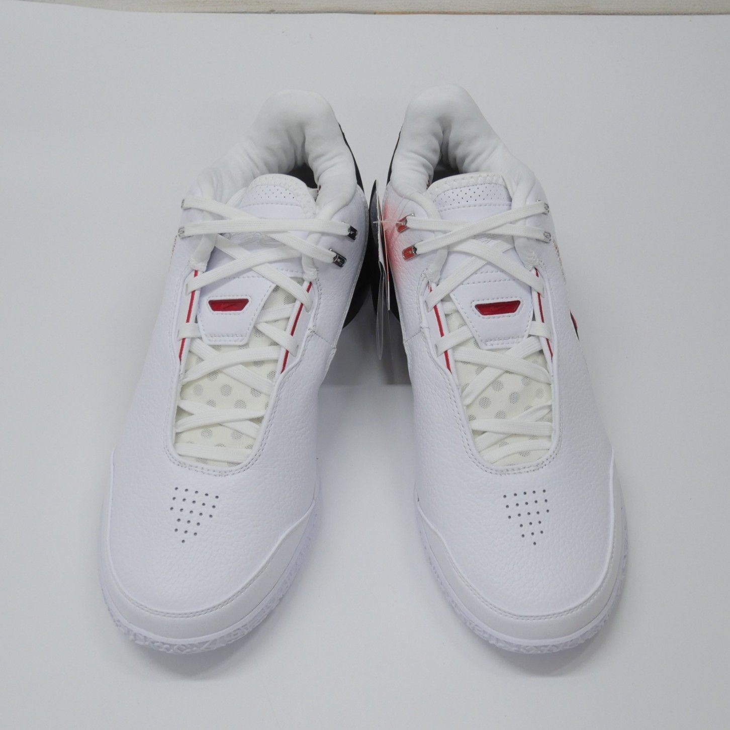 未使用品 NIKE ナイキ ZOOM LEBRON NXXT GEN AMPD EP サイズUS10.5 