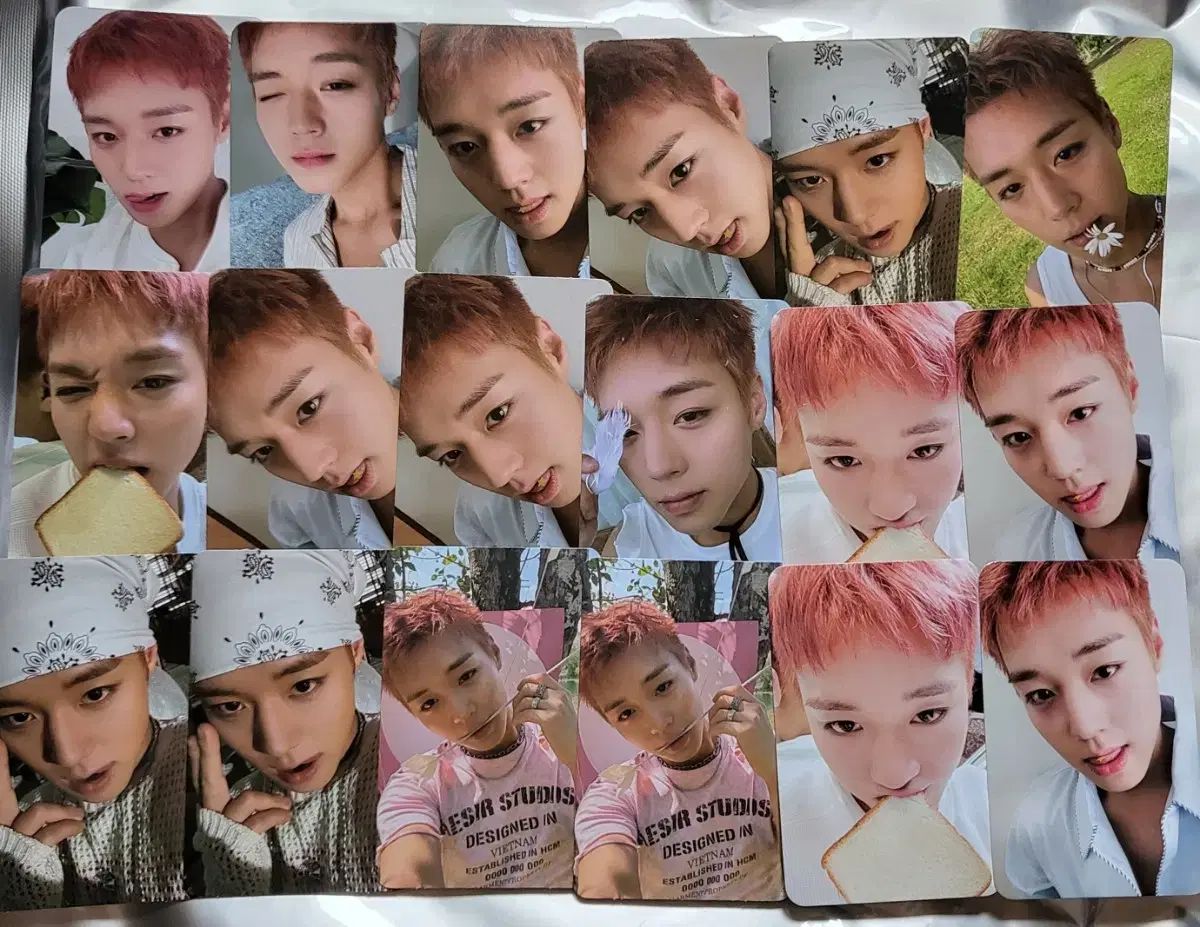 まとめ売り パク・ジフン(PARK JIHOON) ファンミーティング グッズ アルバム(plve ver ) 王子様(ワンサナム) グッズ