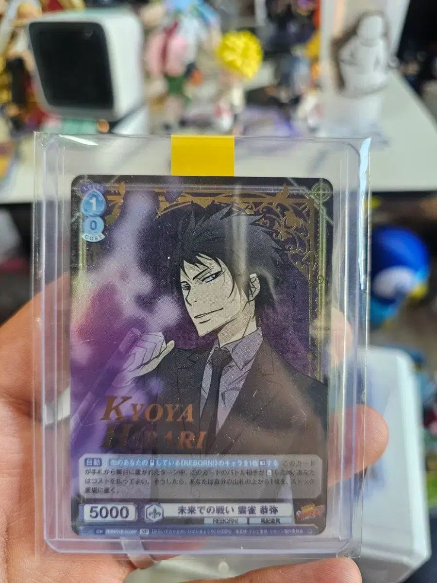ヴァイスシュヴァルツ 家庭教師ヒットマンREBORN! 渡会 雲雀 쿄야 SP