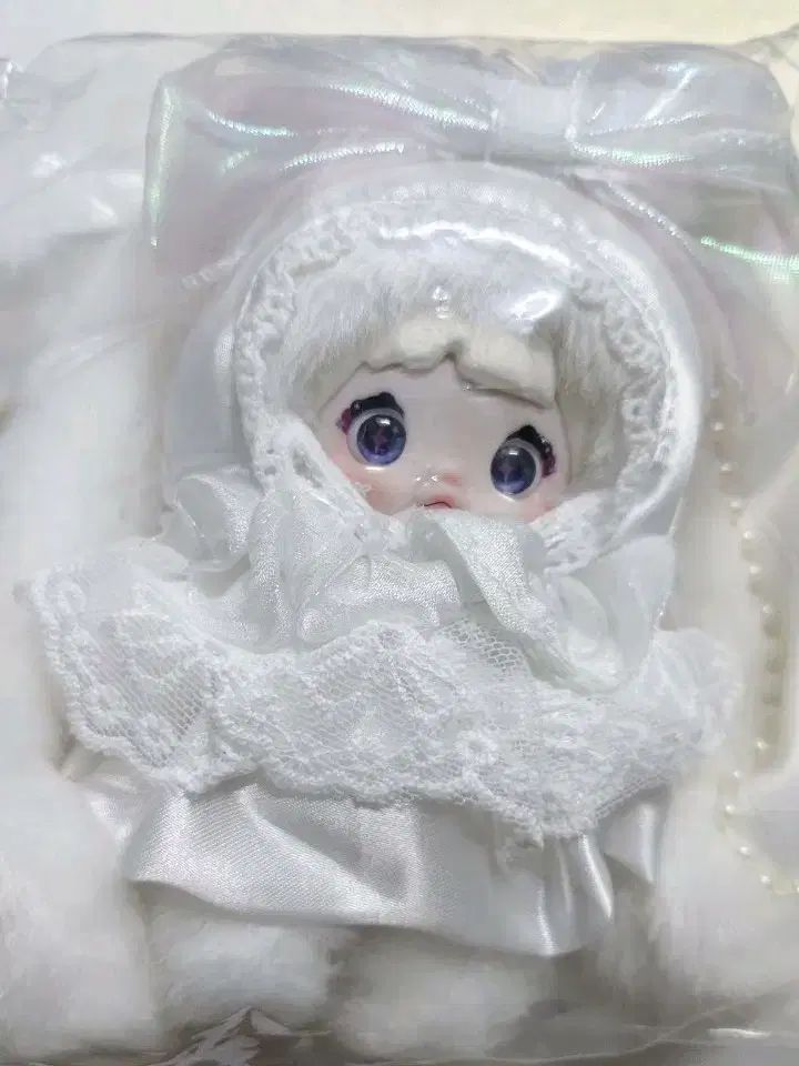 未開封新品 ノミ ビボ 限定モデル 予約
