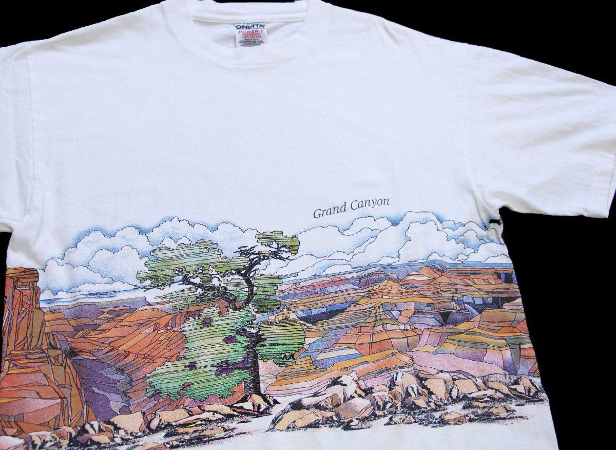 90s USA製 Grand Canyon アート 両面プリント コットンTシャツ 白 L★グランドキャニオン国立公園 オールド ビンテージ グラフィック
