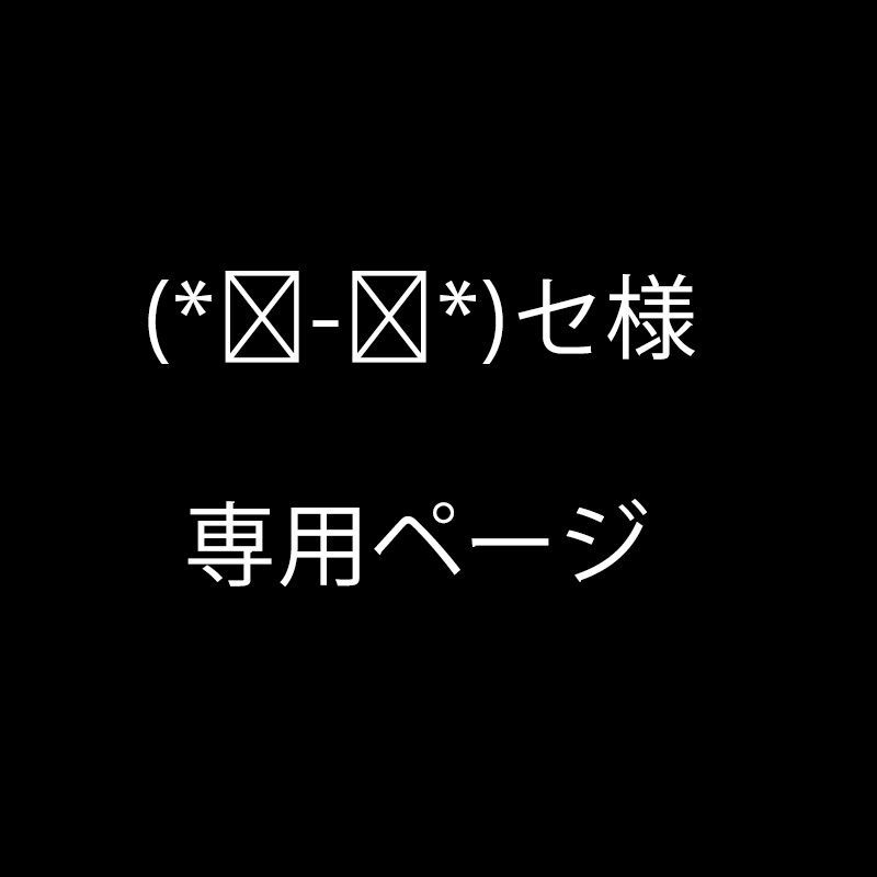 (*☻-☻*)セ様 専用ページ