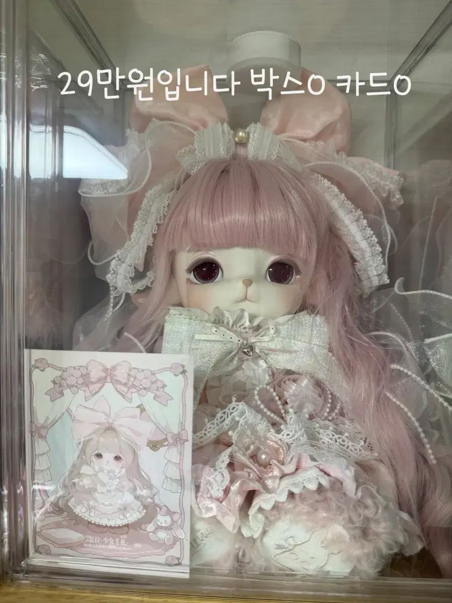 ミジュアン限定モデル ぬいぐるみ IN版