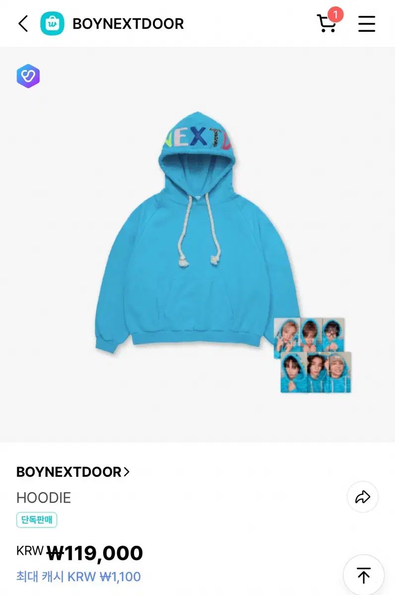 BOYNEXTDOOR(ボイネク) ONE & ONLY フードTシャツのみ出品