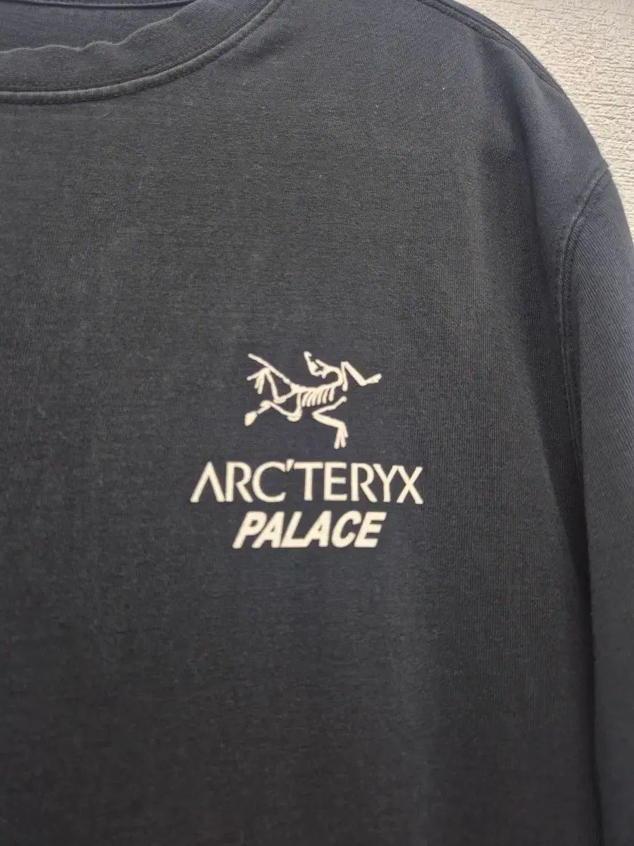 ARC'TERYX PALACE パレス 半袖Tシャツ ブラック /100(正規品)