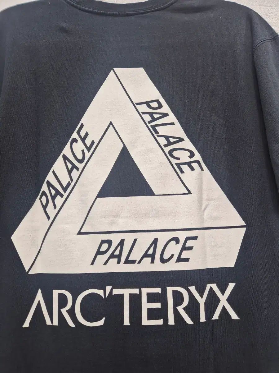 ARC'TERYX PALACE パレス 半袖Tシャツ ブラック /100(正規品)