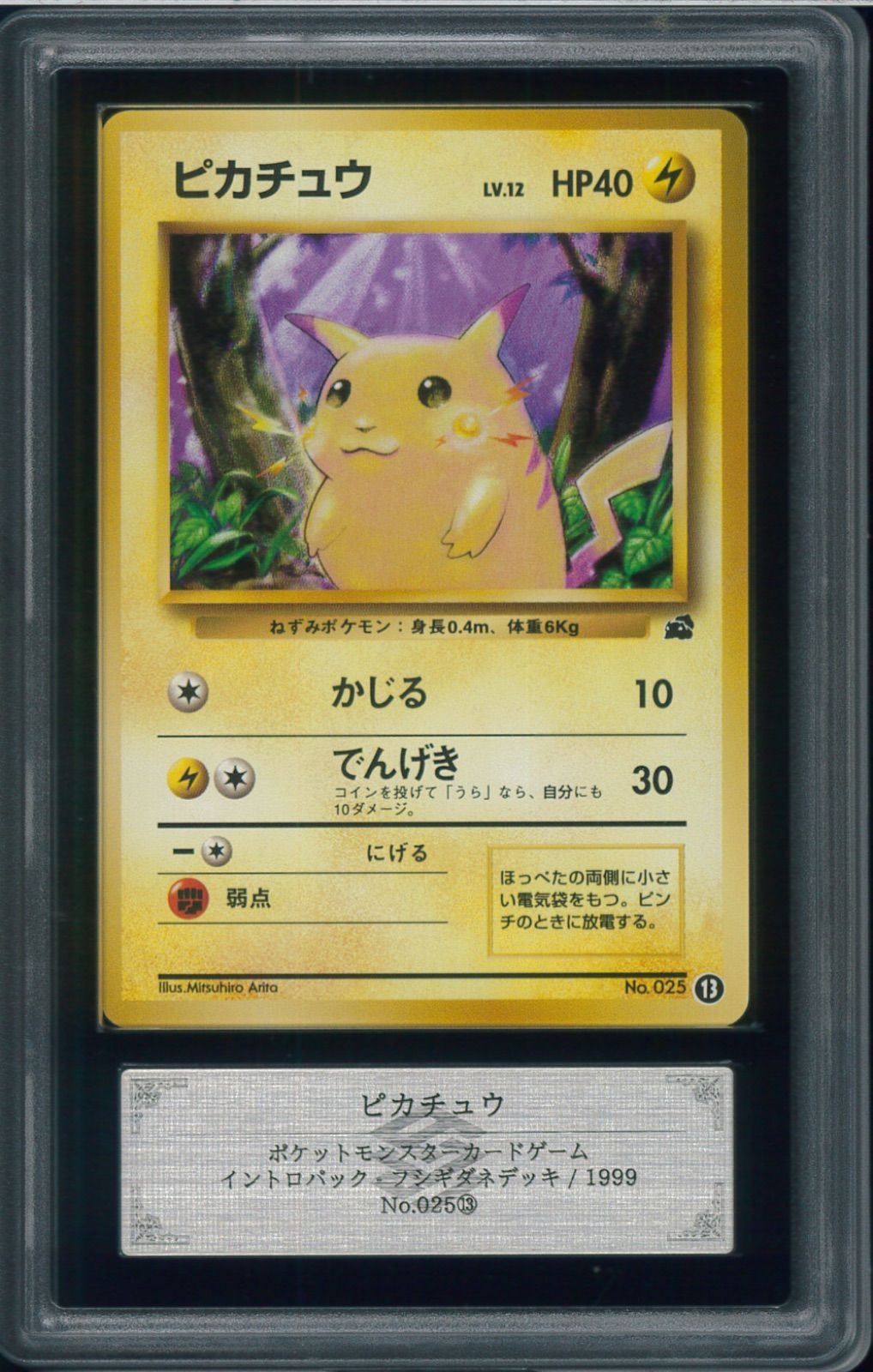ARS10　ピカチュウ　LV12　かじる　旧裏　旧裏面　イントロパック　フシギダネデッキ　⑬　pikachu　No.25　ポケモンカード　P003138
