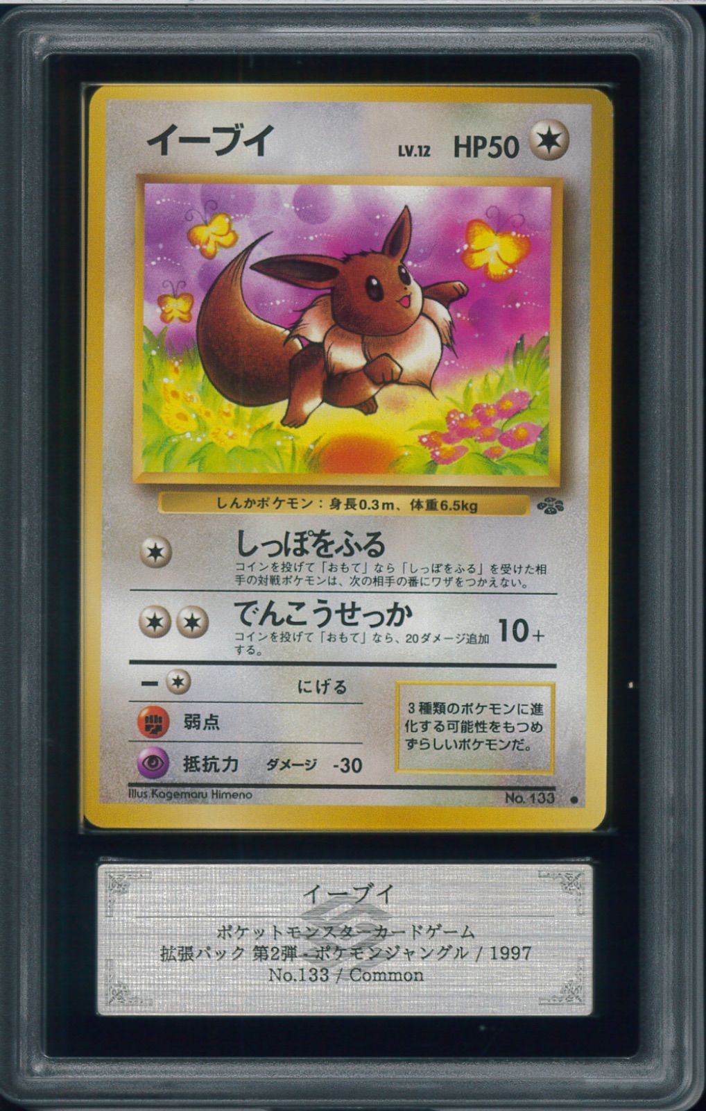 ARS10　イーブイ　LV12　旧裏　旧裏面　ポケモンジャングル　Eevee　No.133　ポケモンカード　P003168