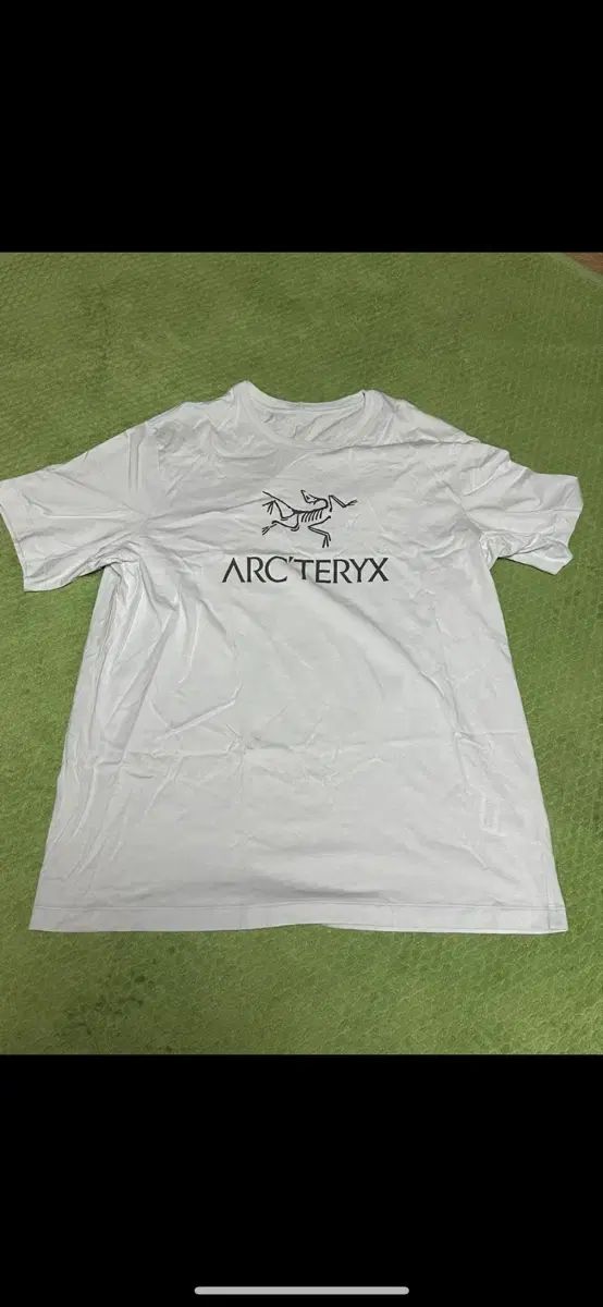 ARC'TERYX アークテリクス アークワーズ ロゴSS Tシャツ デイブレイク