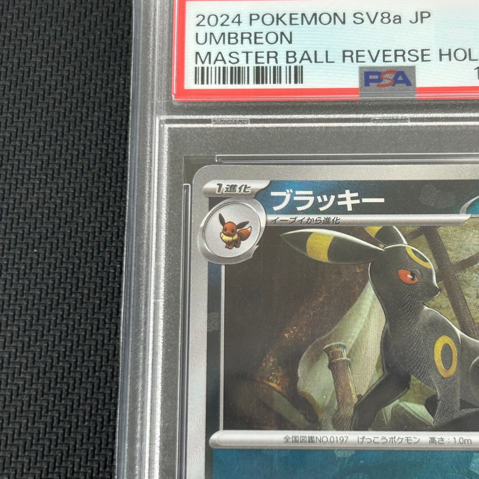 PSA10 ポケカ ブラッキー マスターボール マスボミラー 092/187/SV8A