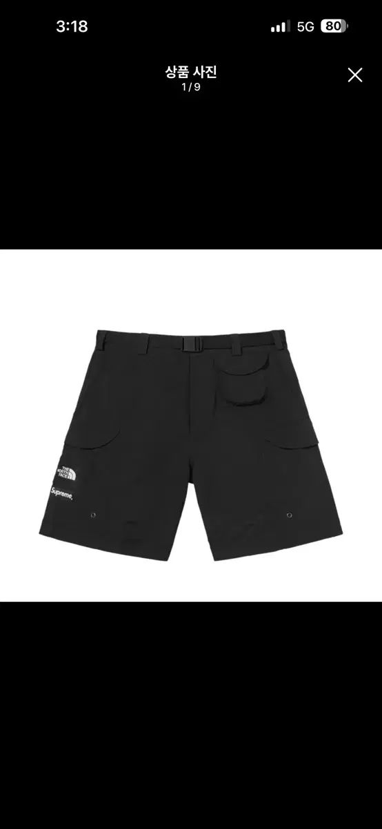 Supreme 22ss x THE NORTH FACE ザノースフェイス トレッキング パッカブル ベルト ショーツ L 39,657円