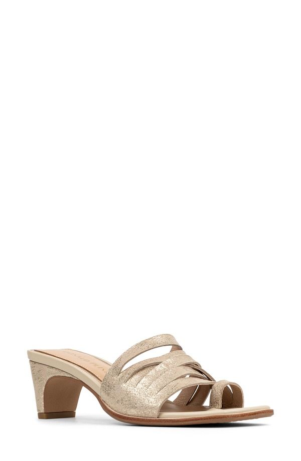 ドナルドプリネール レディース シューズ ヒール サンダル Donald Pliner Dayvi Toe Loop Sandal Platinum