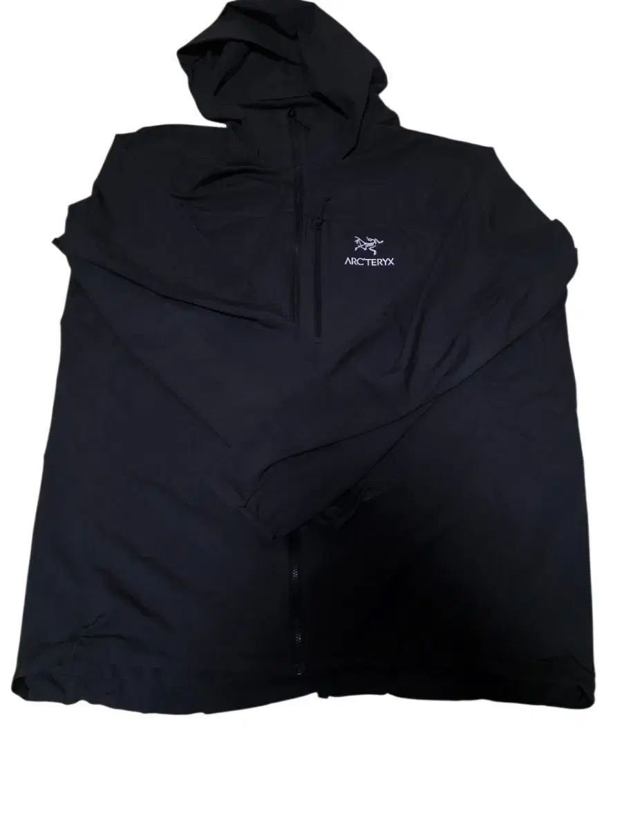 正規品/ネルソンタグ ARC'TERYX アークテリクス スコミス フーディー ブラック XL (コンディション 最高)