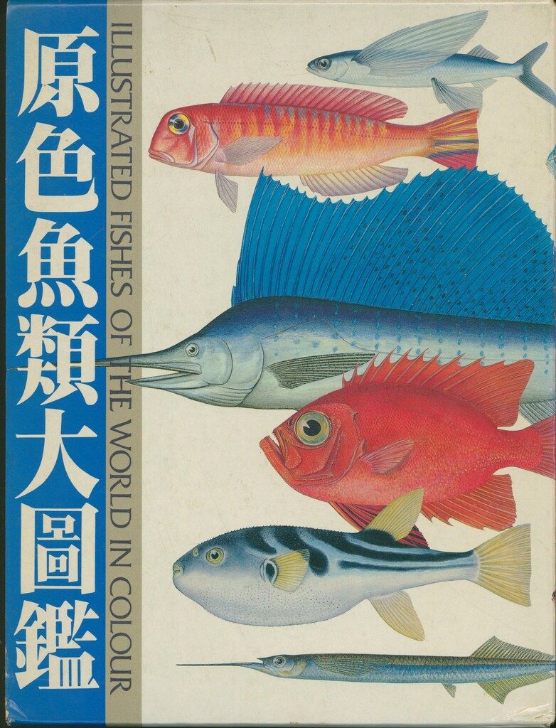 阿部宗明 原色魚類大圖鑑 元版