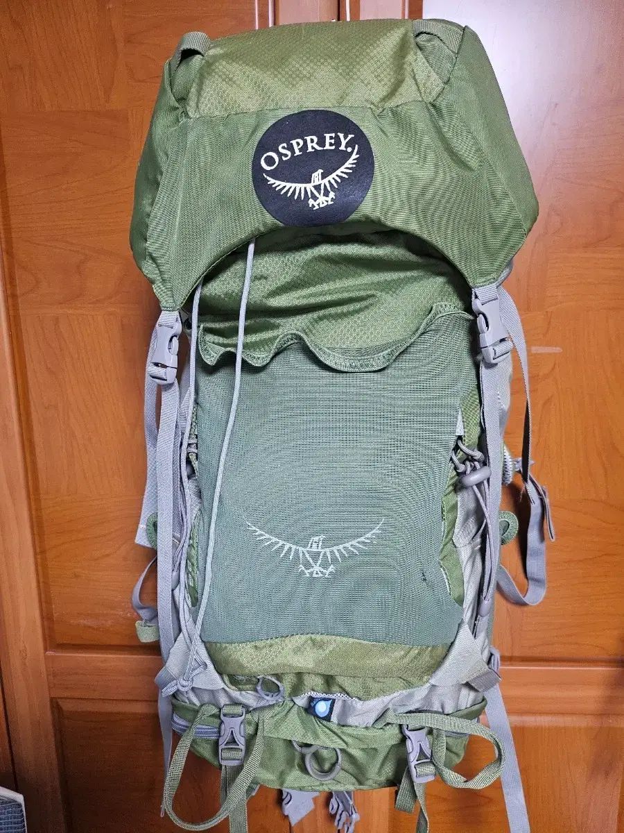 オスプレイ(OSPREY) バックパック オリーブ グリーン 38
