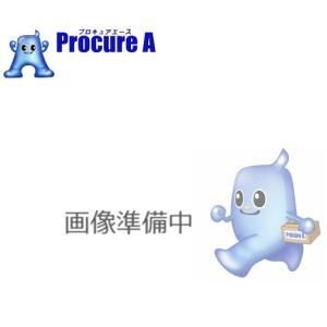 【新品・4営業日で発送】寿堂紙製品工業 角2再生100%未晒クラフト100g【10605】