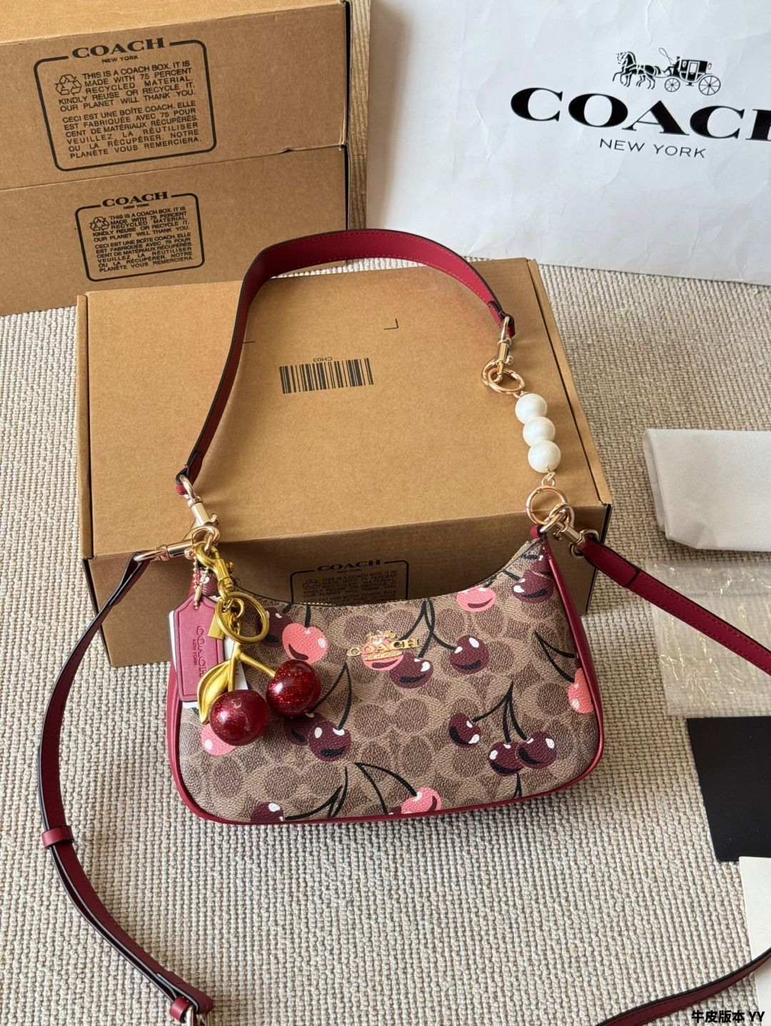 【今日特価】COACH Teri シリーズ 人気アームピッチバッグ