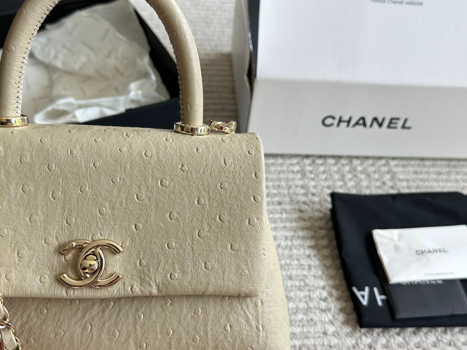 【今日特価】Chanel Coco Handle Bag (22cm) - シャネル ココ ハンドル バッグ 【今日特価】Chanel Coco Handle Bag (22cm) - シャネル ココ ハンドル バッグ