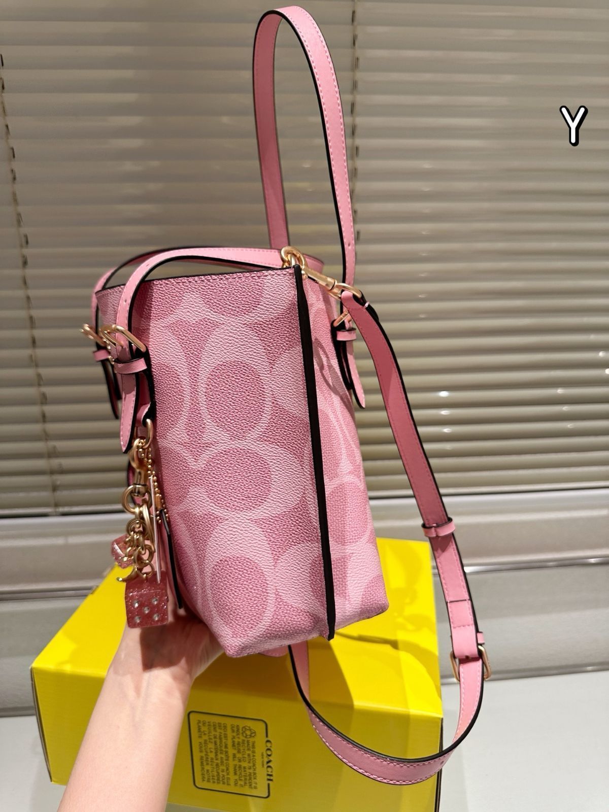 【今日特価】Coach Mollie 25 Tote Bag コーチ モリー 25 トートバッグ