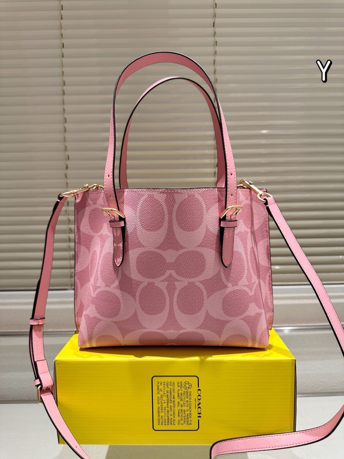 【今日特価】Coach Mollie 25 Tote Bag コーチ モリー 25 トートバッグ