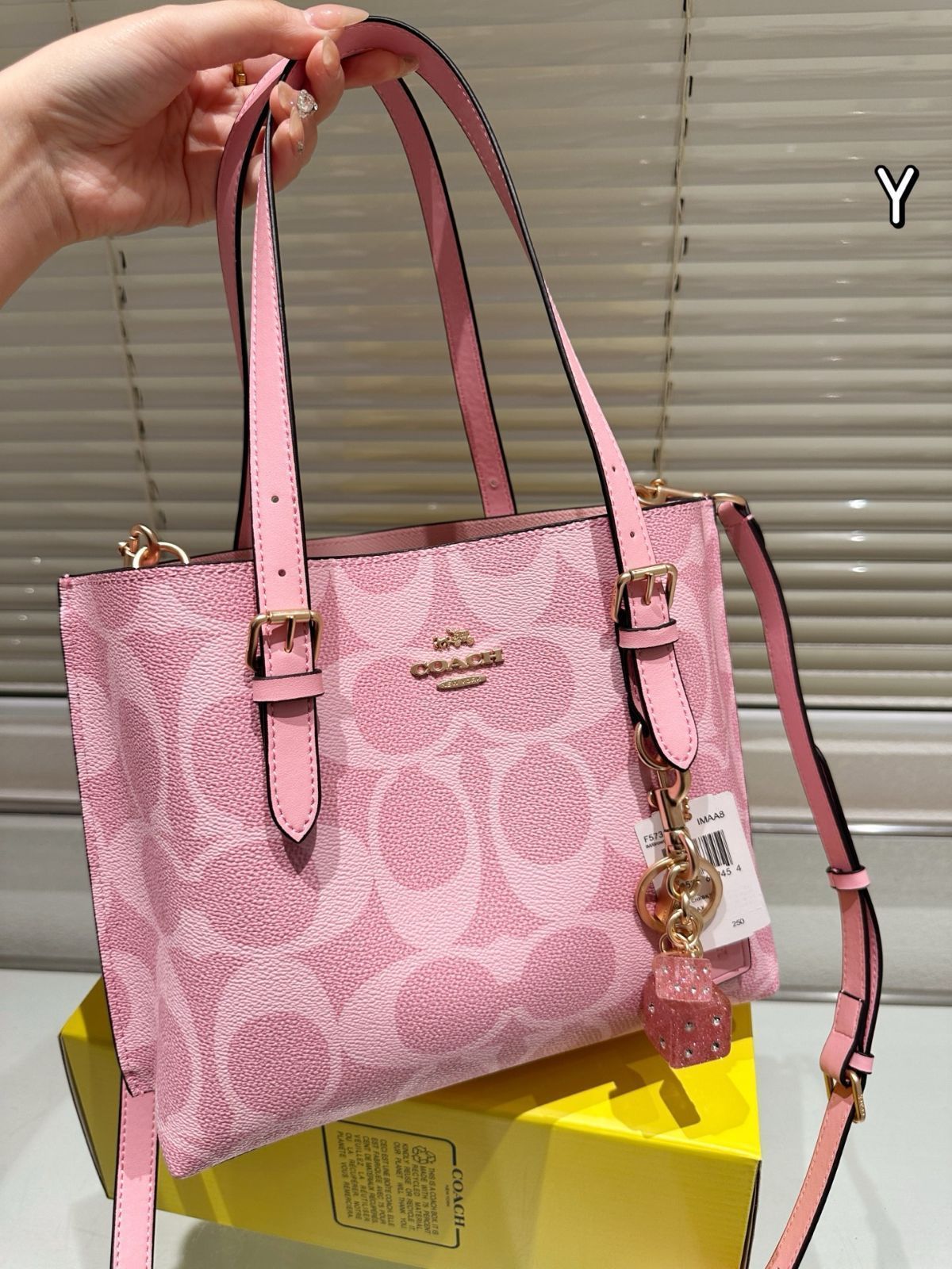 【今日特価】Coach Mollie 25 Tote Bag コーチ モリー 25 トートバッグ
