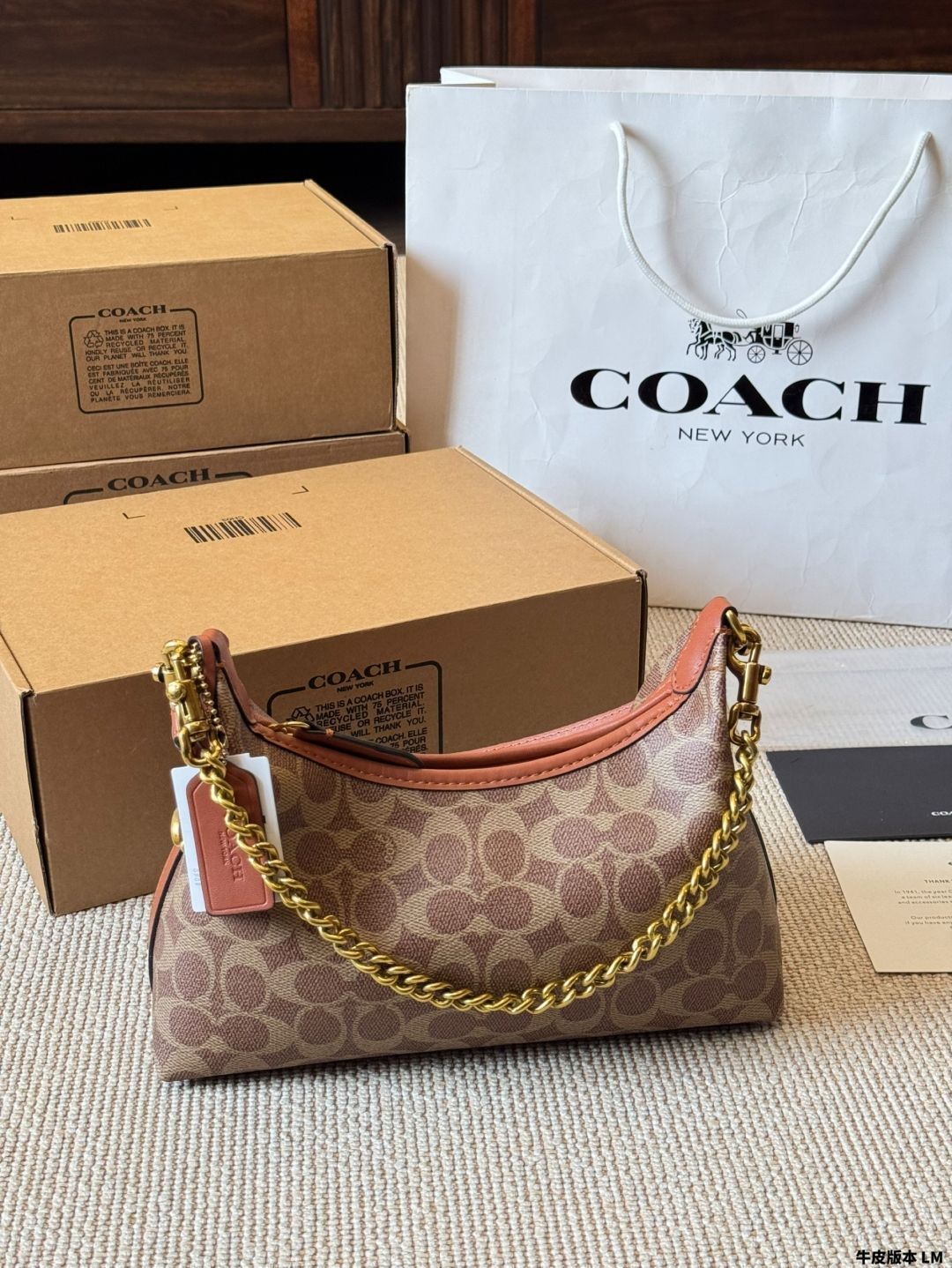 【今日特価】Coach New Juliet Hobo - コーチ ニュー ジュリエット ホボバッグ