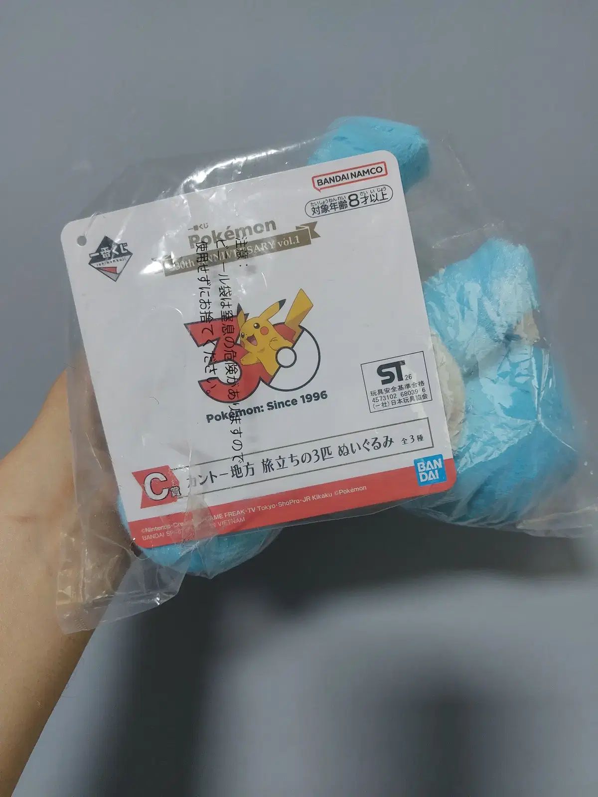 ポケモン30周年 C賞 カメール 関東地方 一番くじ ポケモン30周年 C賞 カメール 関東地方 一番くじ