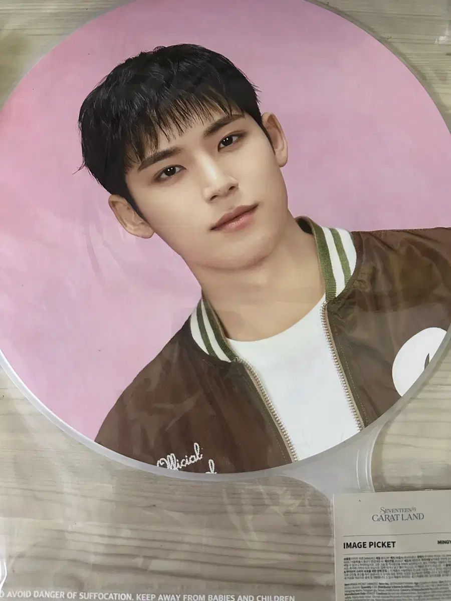 SEVENTEEN ミンギュ セブチ うちわ 公式 be the sun SEVENTEEN BE THE