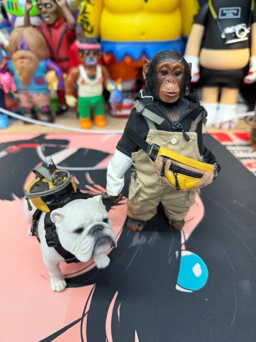 Mr zチンパンジーと子犬