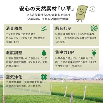 い草 上敷き 団地間4.5畳 撥水加工付き 備前 びぜん やわらかく畳になじみやすい双目織 い草 上敷き 団地間4.5畳 撥水加工付き 備前 びぜん やわらかく畳になじみやすい双目織