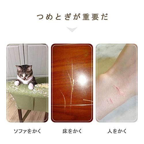 SONGWAY 猫 つめとぎ ダンボール 大型猫のつめとぎ 爪とぎ 爪研ぎ 猫爪とぎベッド ソファ型爪とぎ ペットソファ ペットベッド 強化ダンボール 高密度 猫ベッド スクラッチャー スクラッチボード つめとぎ ガリガリ 頑丈 ストレス解消 f1b0230b