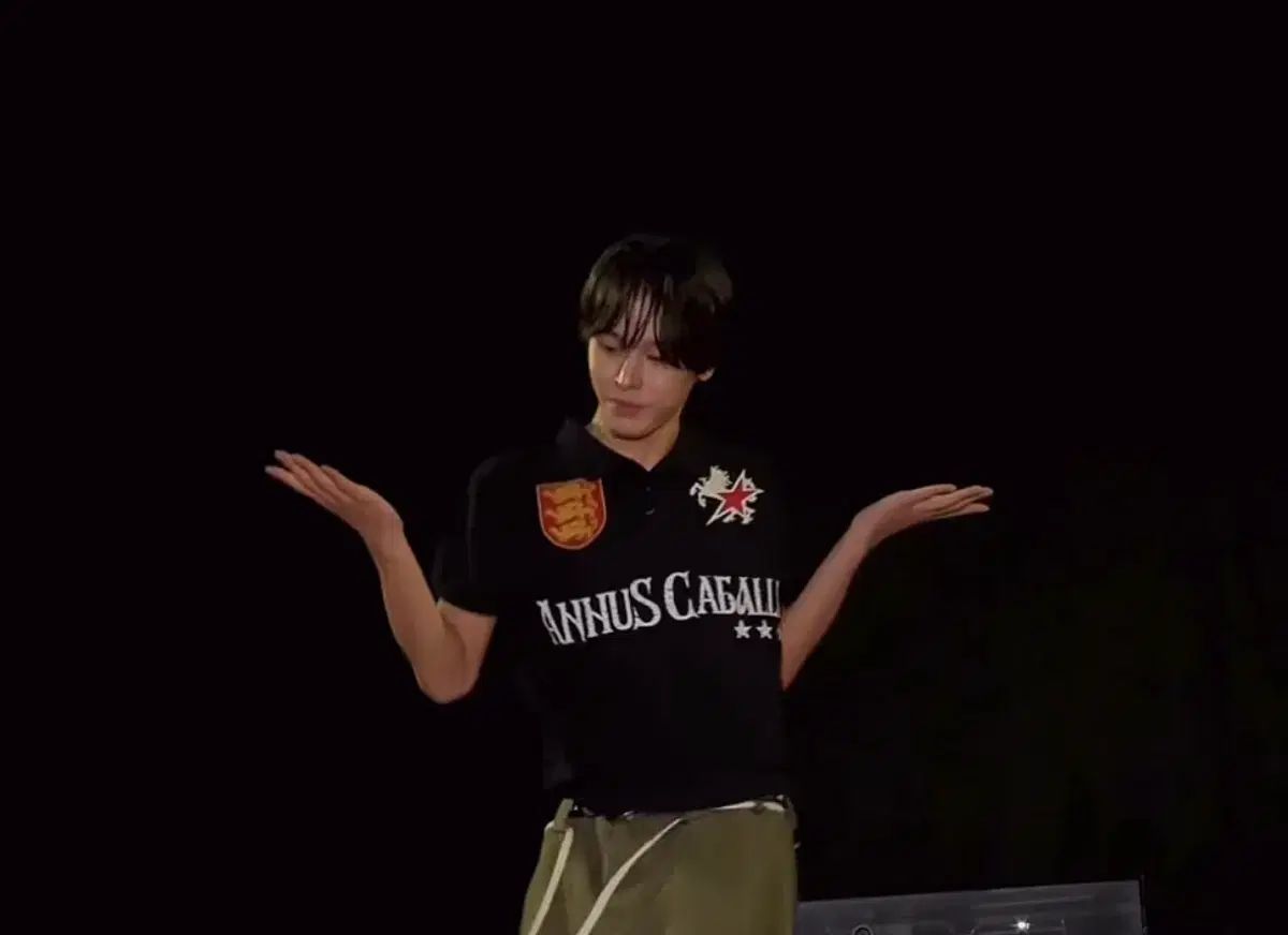 (NCT(エヌシーティー) WIND AND WISH リーク着用) GT184 カバリ KARA(カラ) Tシャツ (NCT(エヌシーティー) WIND AND WISH リーク着用) GT184 カバリ KARA(カラ) Tシャツ
