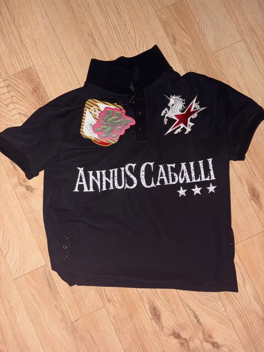 (NCT(エヌシーティー) WIND AND WISH リーク着用) GT184 カバリ KARA（カラ） Tシャツ