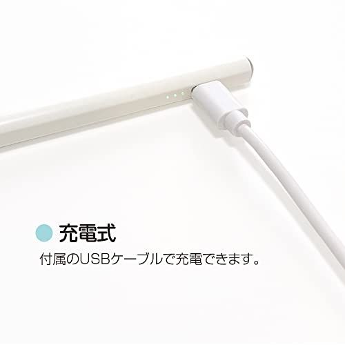 ナカバヤシ(Nakabayashi) Digio2 iPad専用 充電式タッチペン アップルペンシル Apple Pencil ホワイトma ナカバヤシ(Nakabayashi) Digio2 iPad専用 充電式タッチペン アップルペンシル Apple Pencil ホワイトma