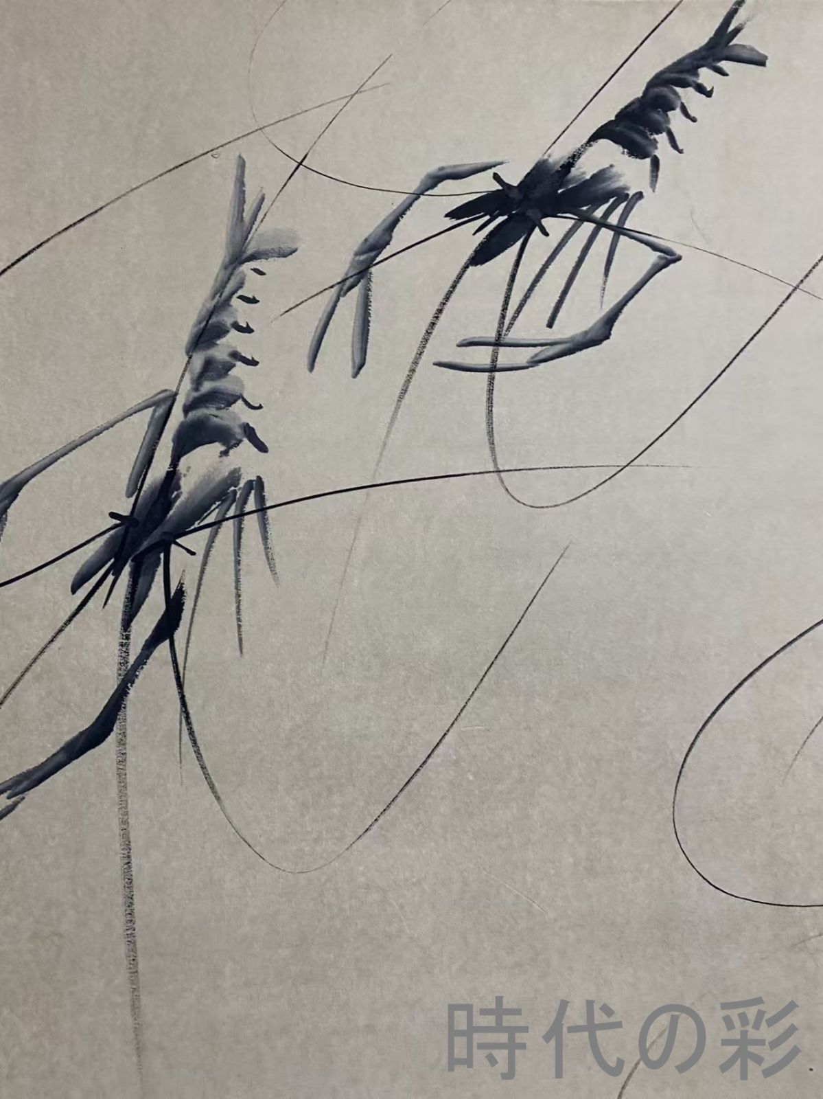 中国古美術】斉白石作款 海老図 三尺中堂画 手描き書画 水墨画