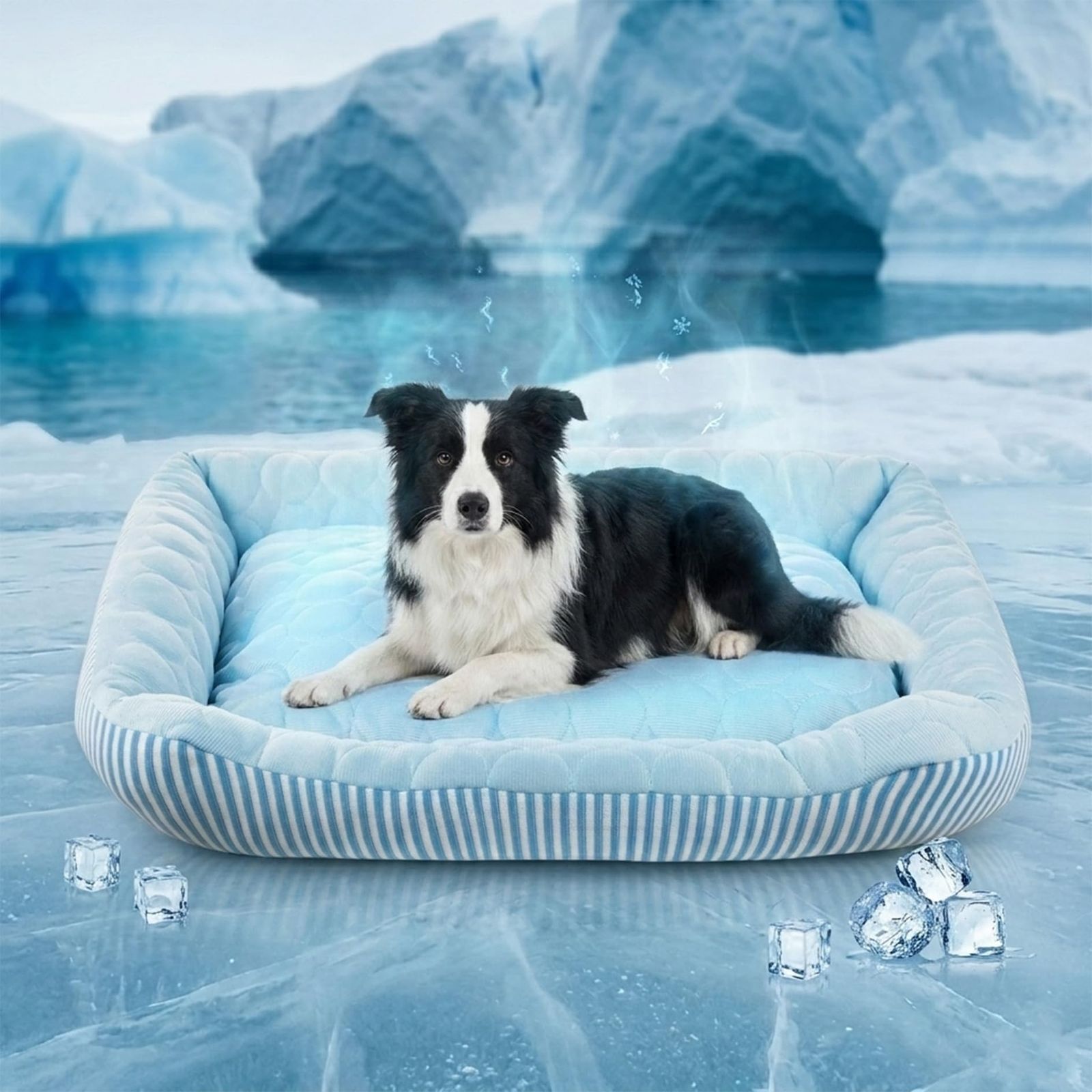 猫 ベッド 犬 ベッド ひんやり ペット ソファー ひんやり 夏用 スクエア型 クールごろ寝マット 洗える 暑さ対策 アイスシルク生地 小中大型犬用 クッション ペット マット ベッド 犬猫兼用 熱中症防 吸熱素材 ブルー 63CM*50CM 768bf1b4