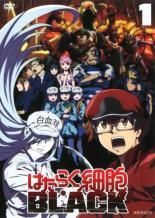 【中古】 はたらく細胞BLACK (7巻セット) [レンタル落ち] [DVD]