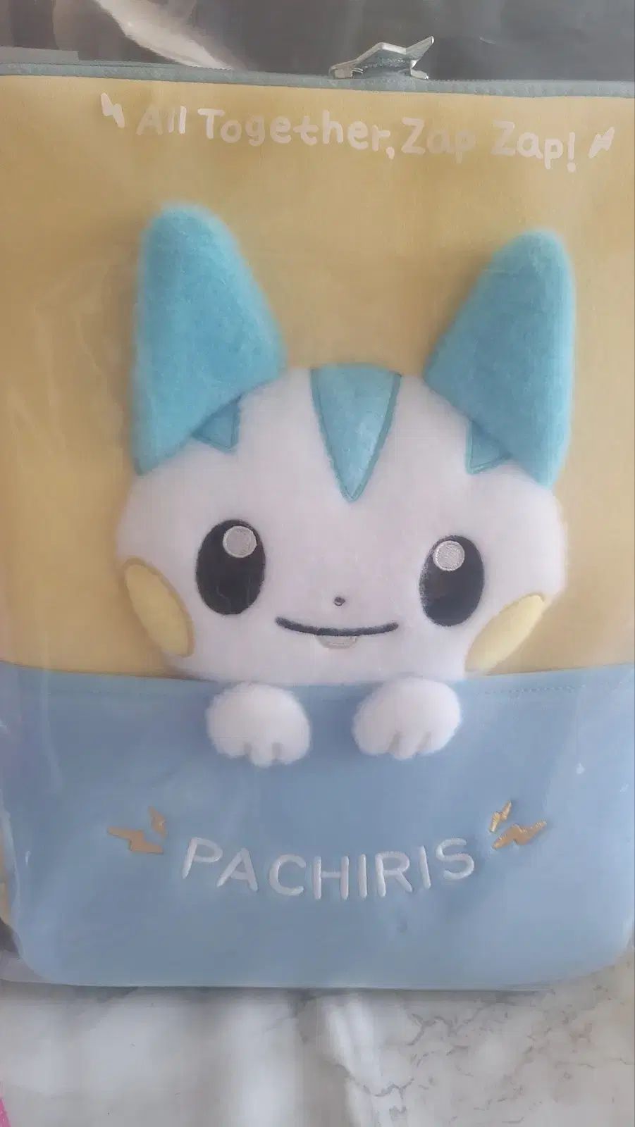 ポケットモンスター メタモンプレイ ポップアップ パチリス ポーチ 未開封 出品